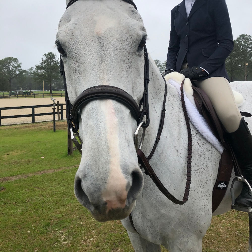 Meet your Posher, Amelia